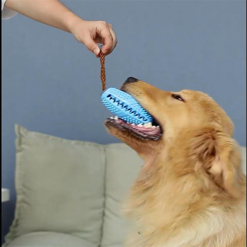 Dog Toothbrush Teether Chew Toy Food Leak Bite-resistant Toy Pet Supplies