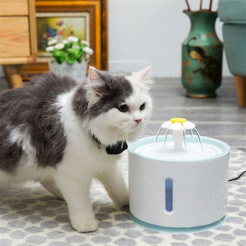 Water Dispenser Large Spring Drinking Bowl Cat Automatic Feeder Drink Filter Automatic Cat Water Fountain For Pets