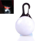 Night Safety Flashing Led Luminous Dogs Glowing Collars Cat Dog Pendants Pet Accessories Para Cachorro Trinkets For Animals