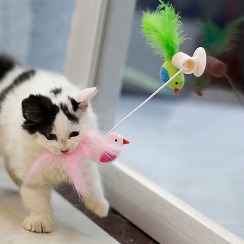 Pet Kitten Cat Feather Toy Glass Sucker Holder Funny Feather Toys Teaser Wand Sucker Window Bird Interactive Training Cats Toy